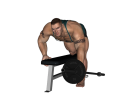 Barbell Row - Single Arm Bench